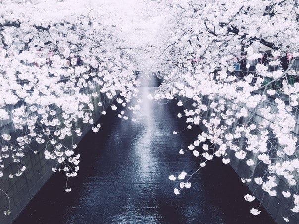 Archillect ID 92793