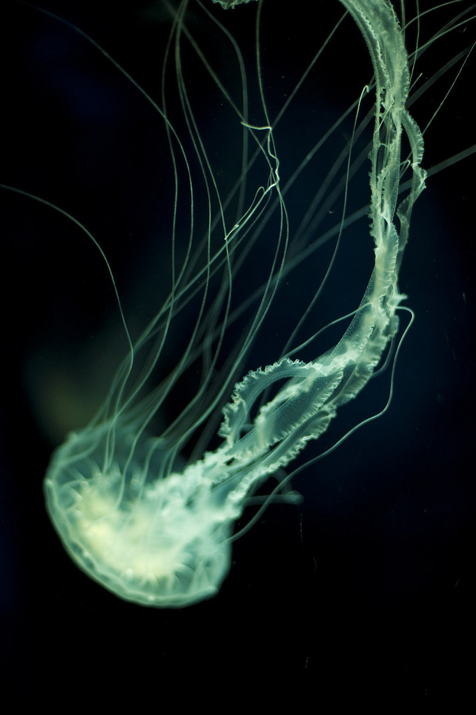 Archillect ID 92875