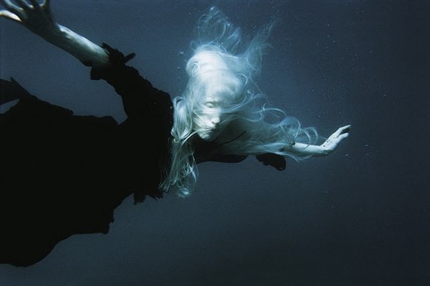 Archillect ID 92997