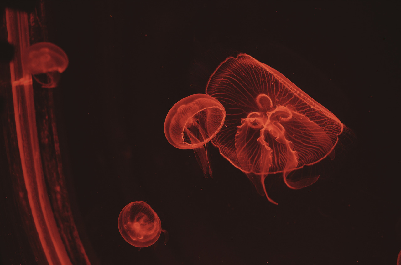 Archillect ID 93101