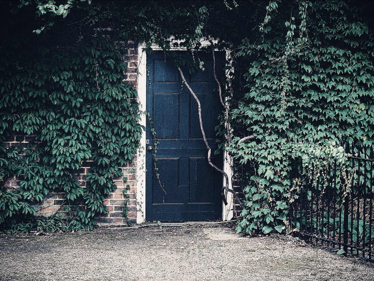 Archillect ID 93188