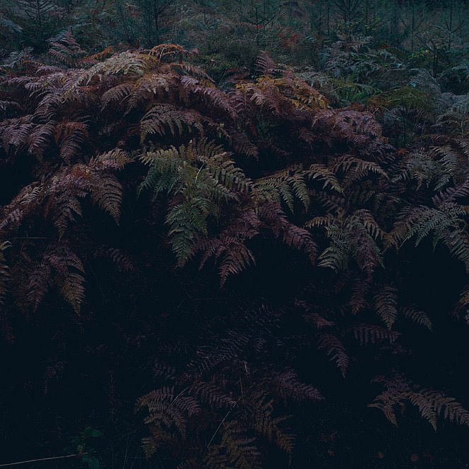 Archillect ID 93191