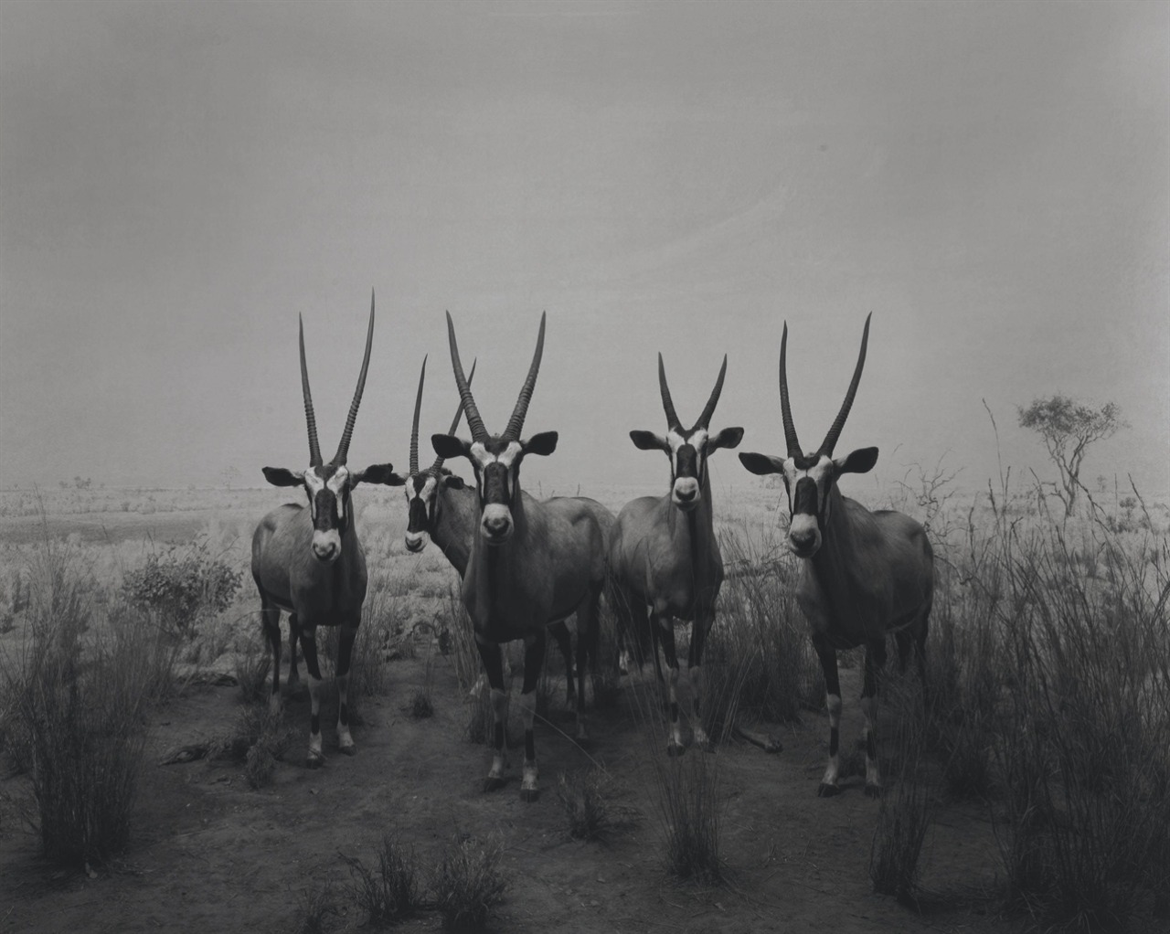 Archillect ID 93196