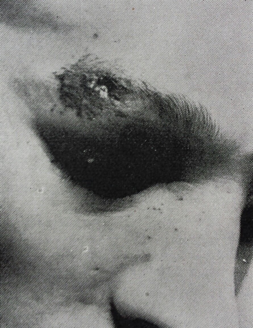 Archillect ID 93209