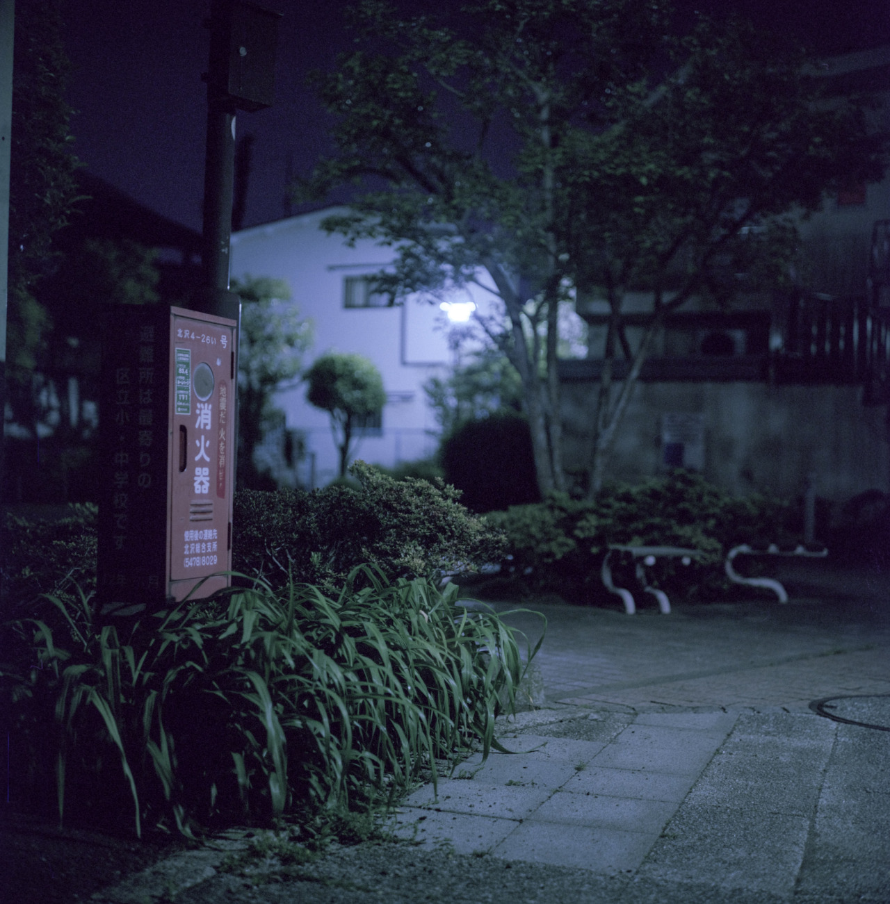 Archillect ID 93216