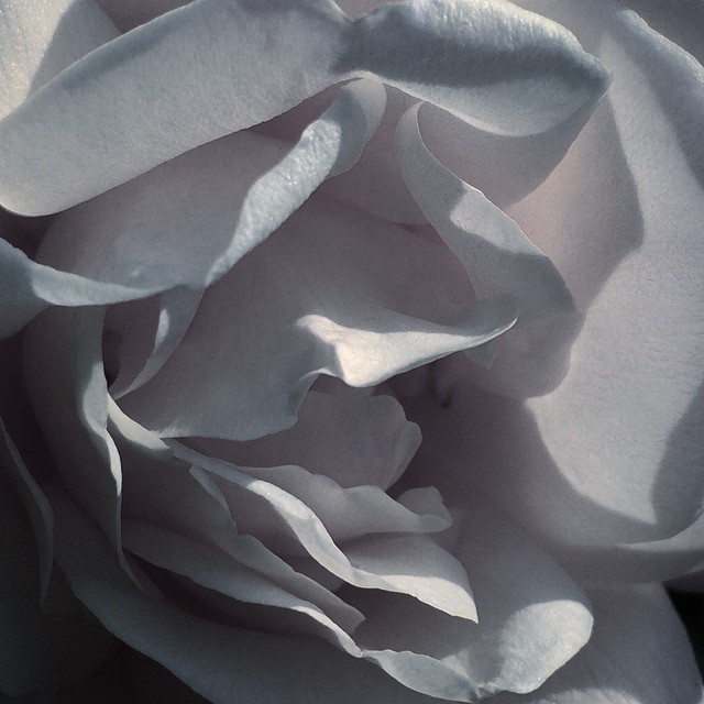 Archillect ID 93219