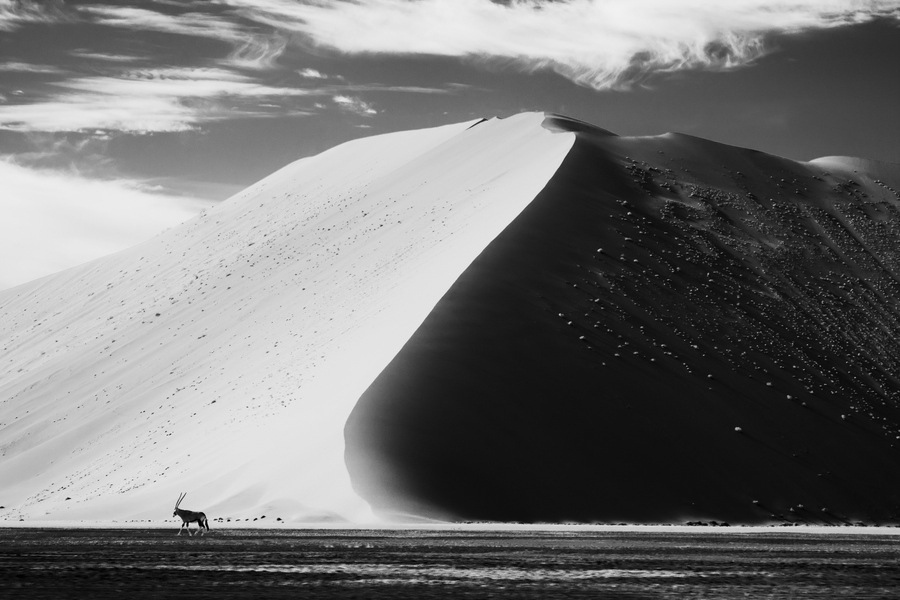 Archillect ID 93476