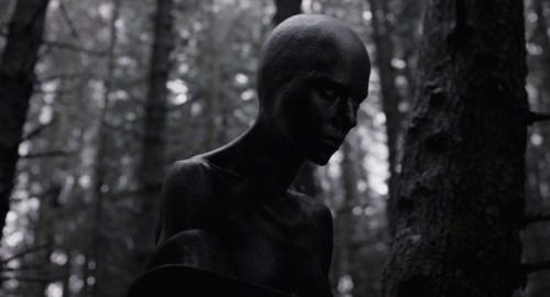 Archillect ID 93505