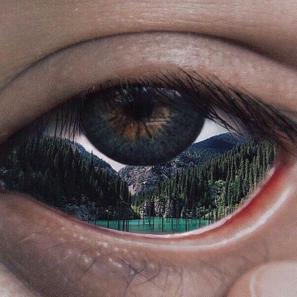 Archillect ID 93517