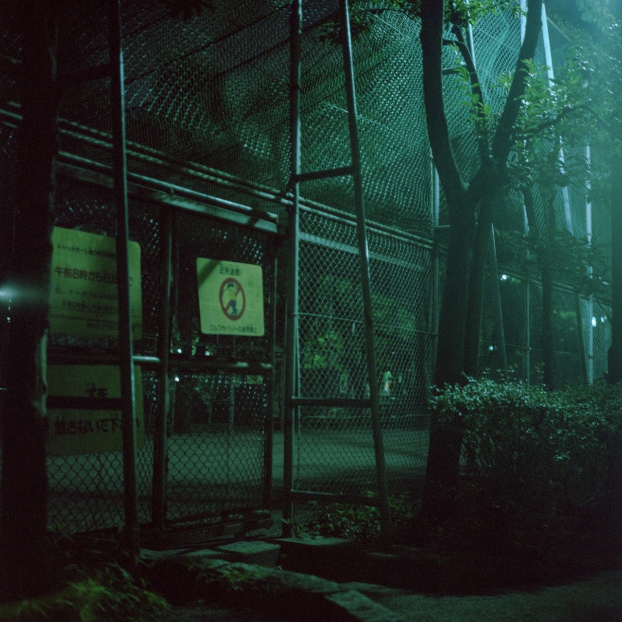 Archillect ID 93626