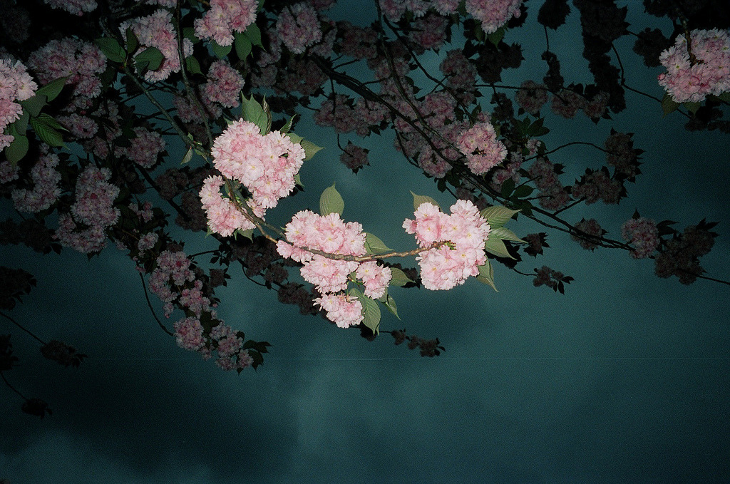 Archillect ID 93674