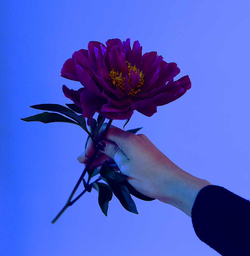 Archillect ID 93723
