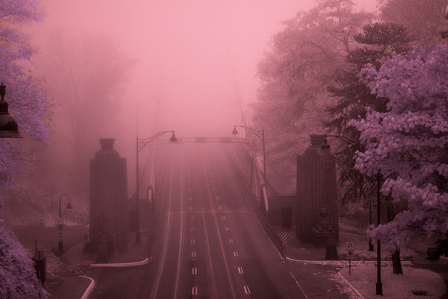 Archillect ID 93732
