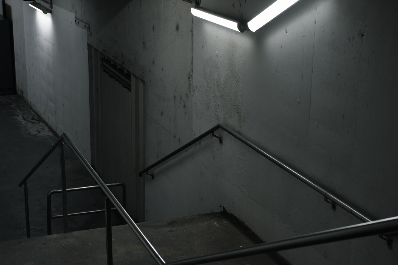Archillect ID 93866