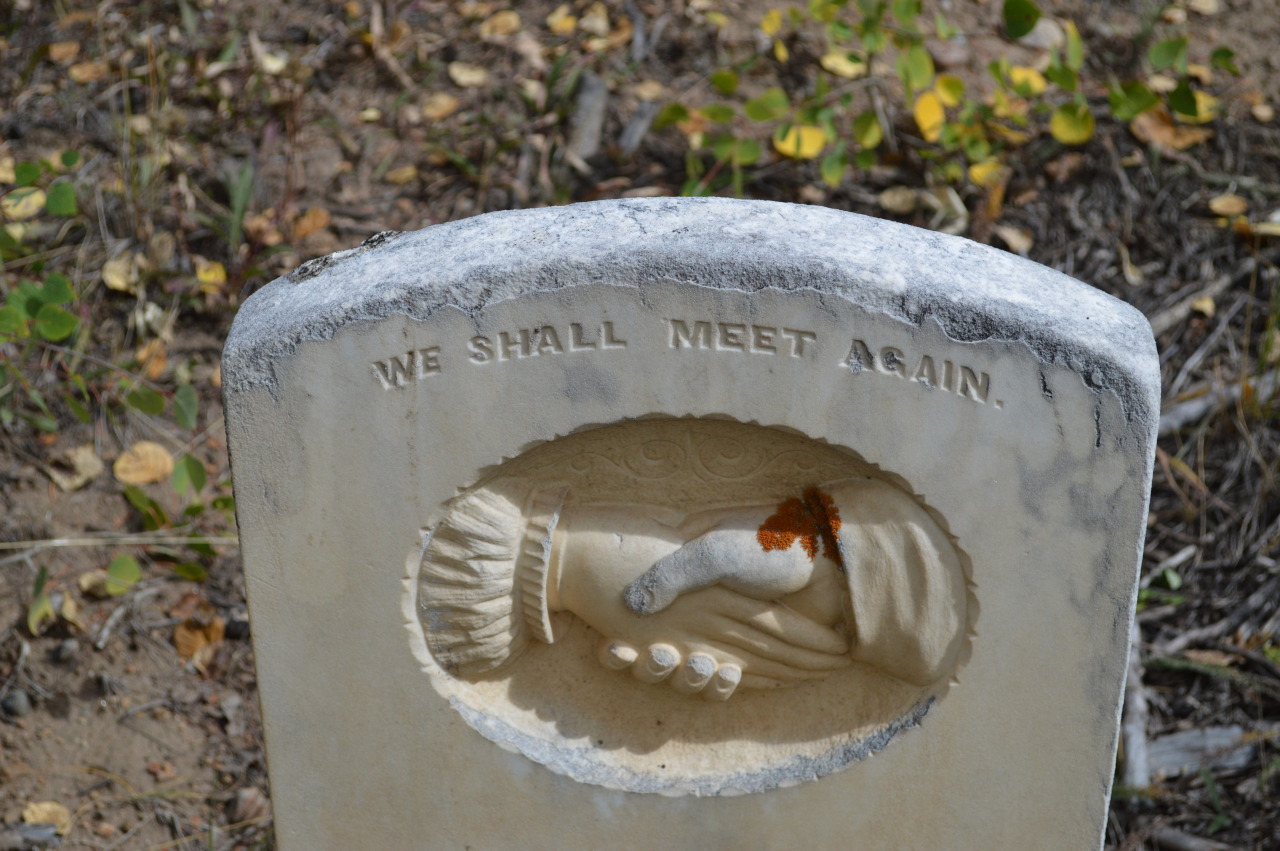 Archillect ID 93882