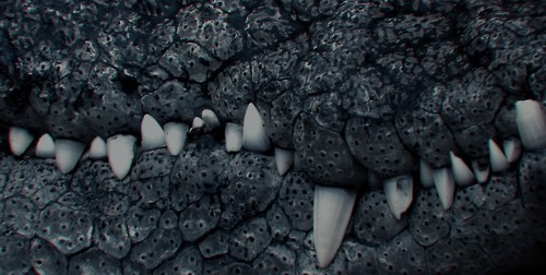 Archillect ID 93951
