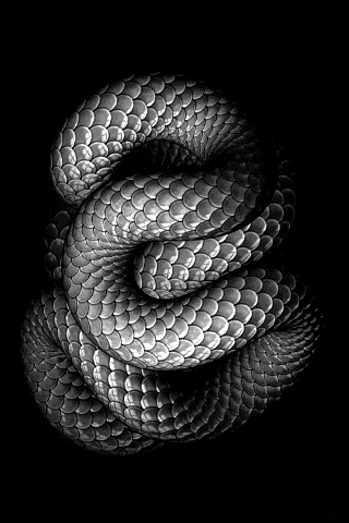 Archillect ID 94067