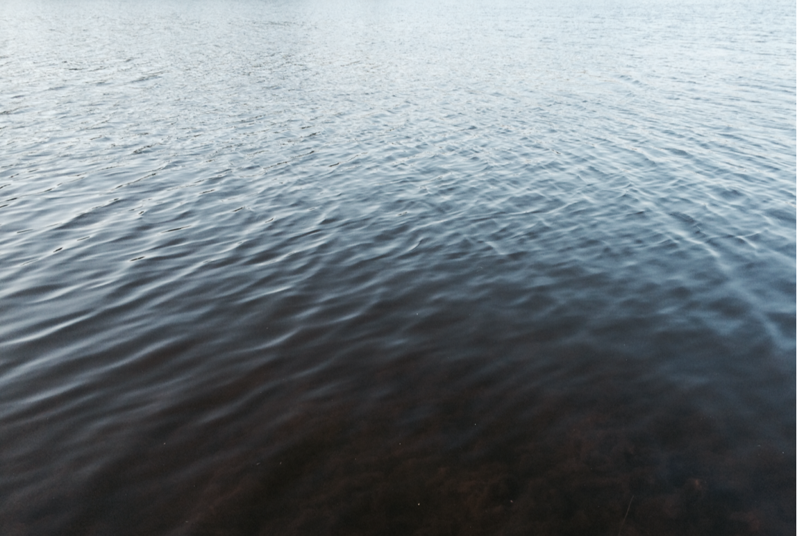 Archillect ID 94228