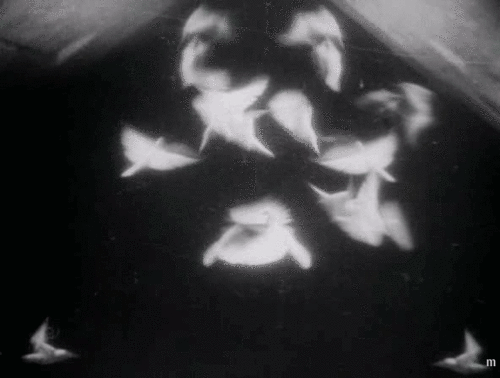 Archillect ID 94423
