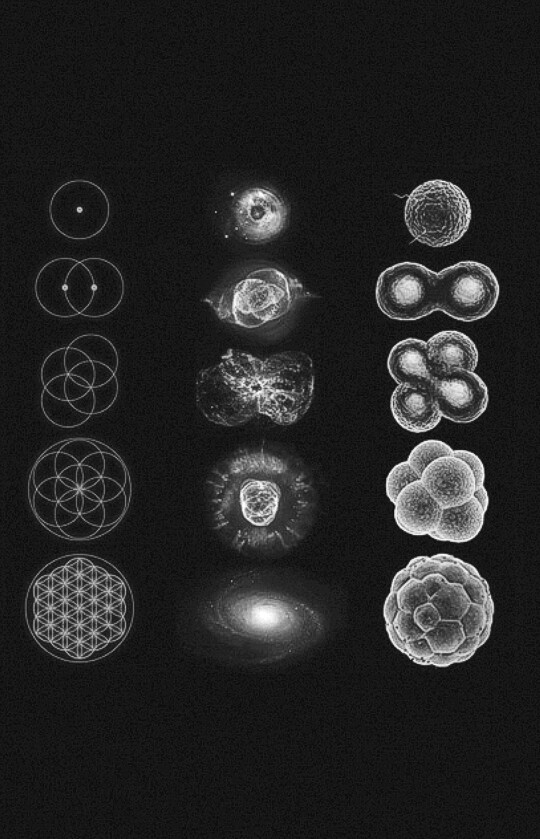 Archillect ID 94466