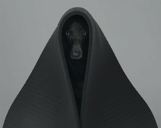 Archillect ID 94478