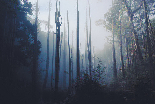 Archillect ID 94487