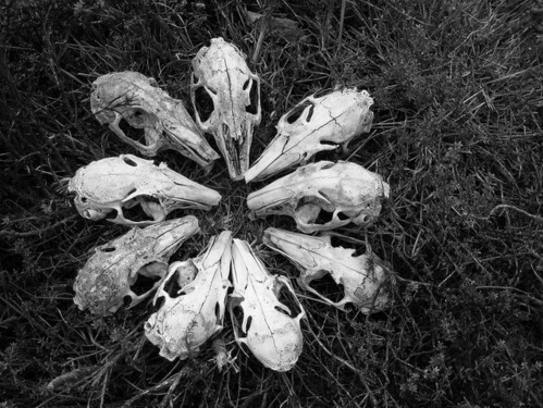 Archillect ID 94548