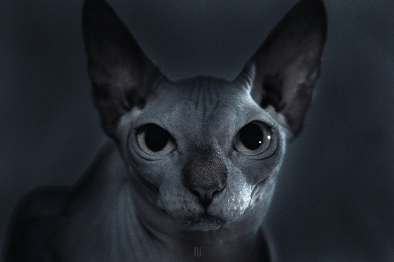 Archillect ID 94552