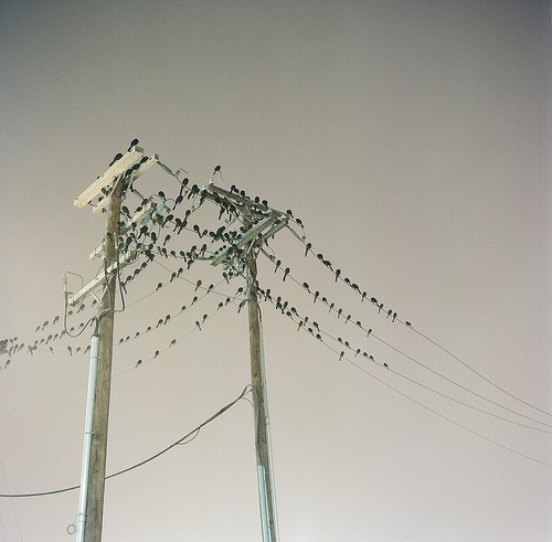 Archillect ID 94561