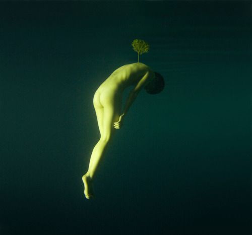 Archillect ID 94572