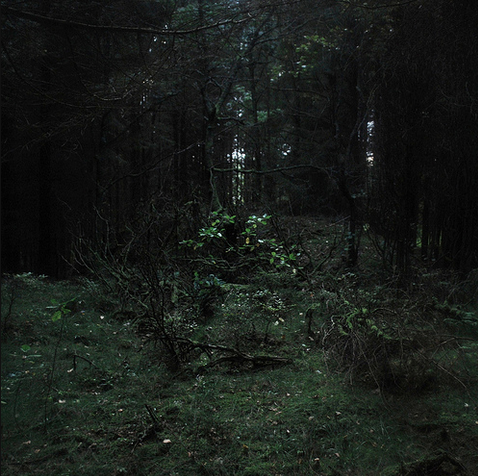 Archillect ID 94786