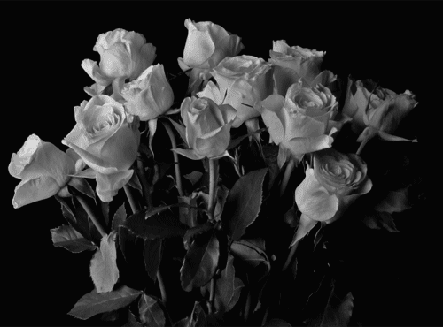 Archillect ID 94793