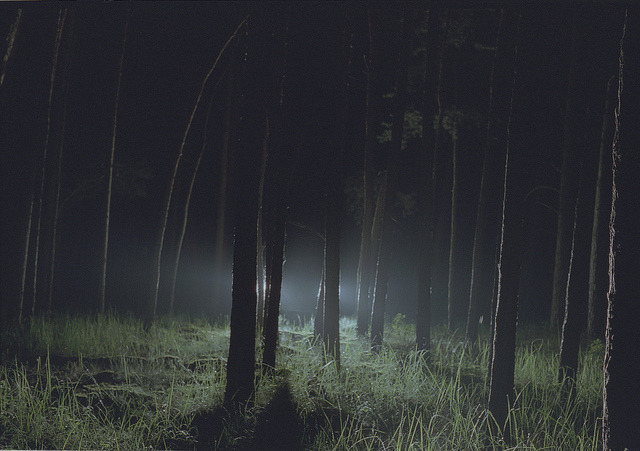 Archillect ID 94910