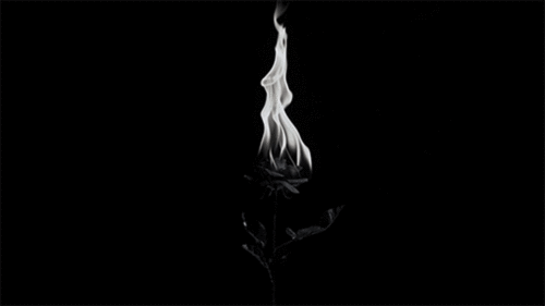 Archillect ID 95078