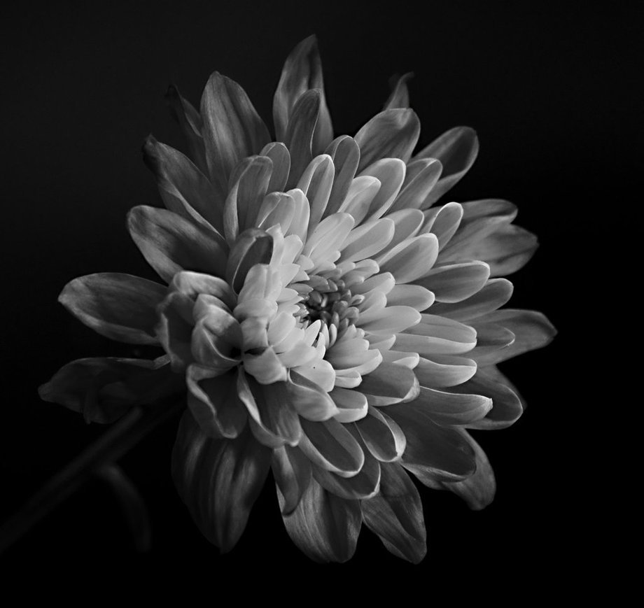 Archillect ID 95111