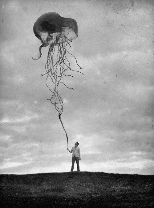 Archillect ID 95326