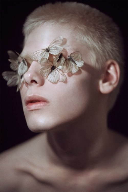Archillect ID 95366