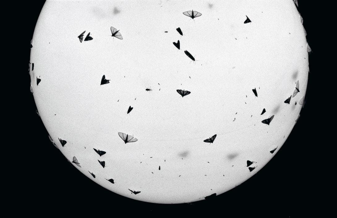 Archillect ID 95519