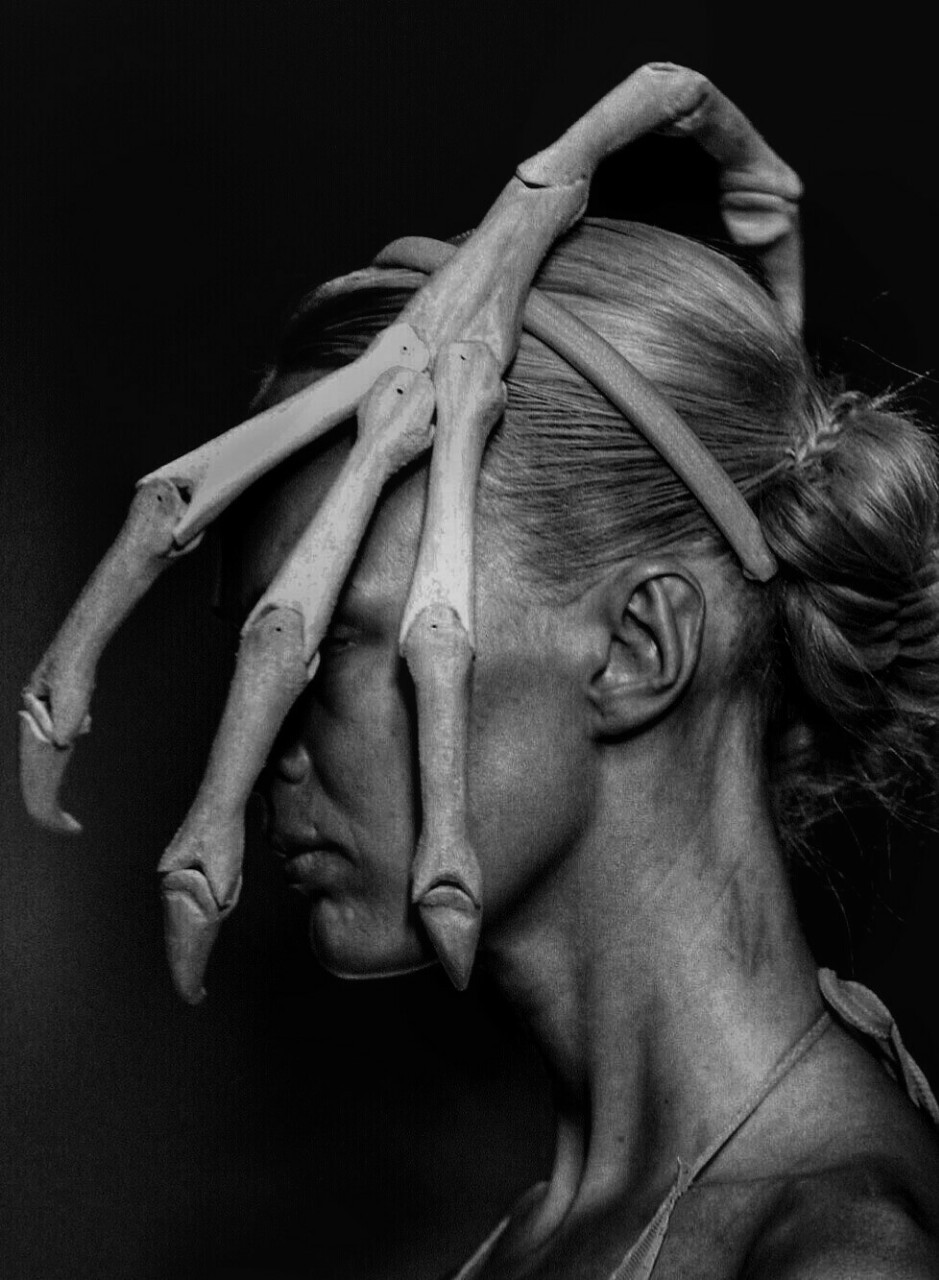 Archillect ID 95528