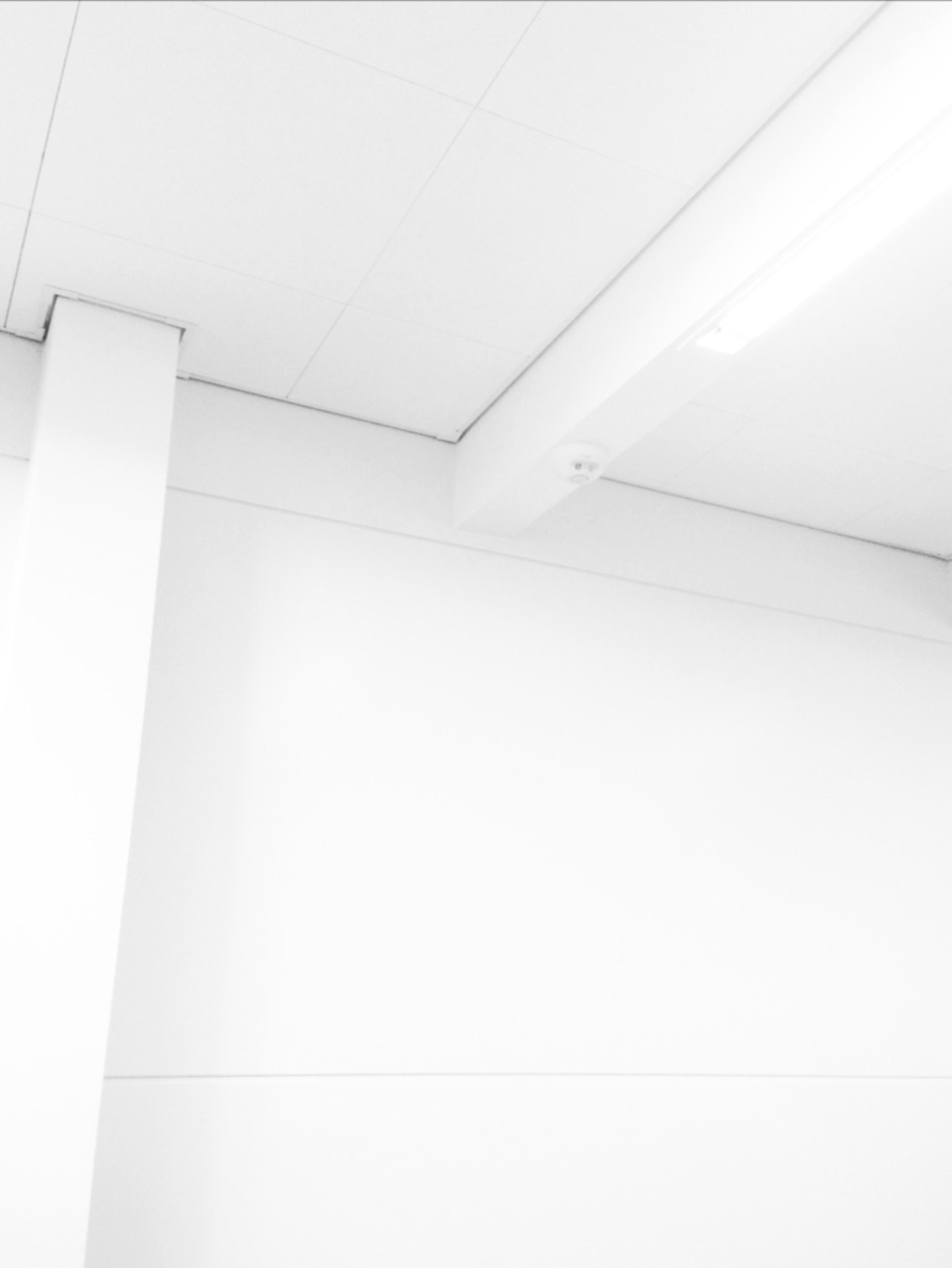Archillect ID 95927