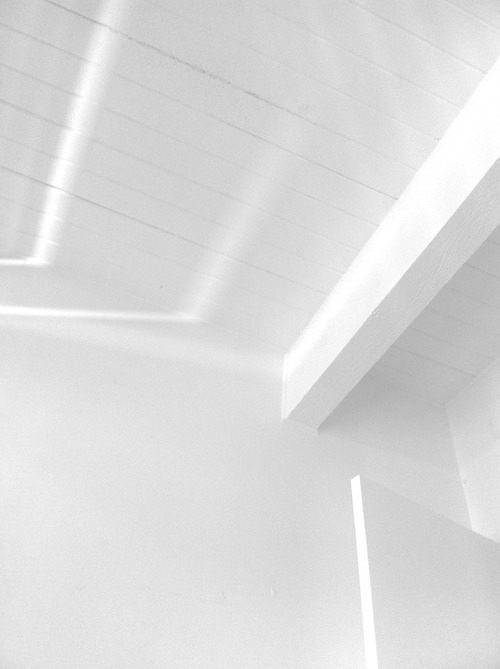 Archillect ID 95979