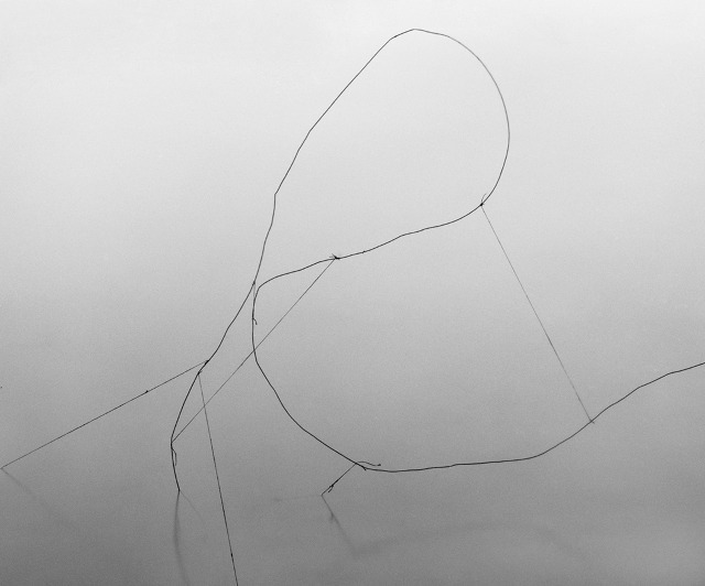 Archillect ID 96006