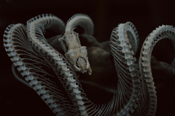 Archillect ID 96108
