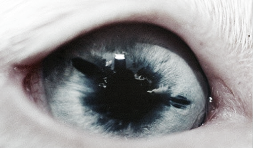 Archillect ID 96111