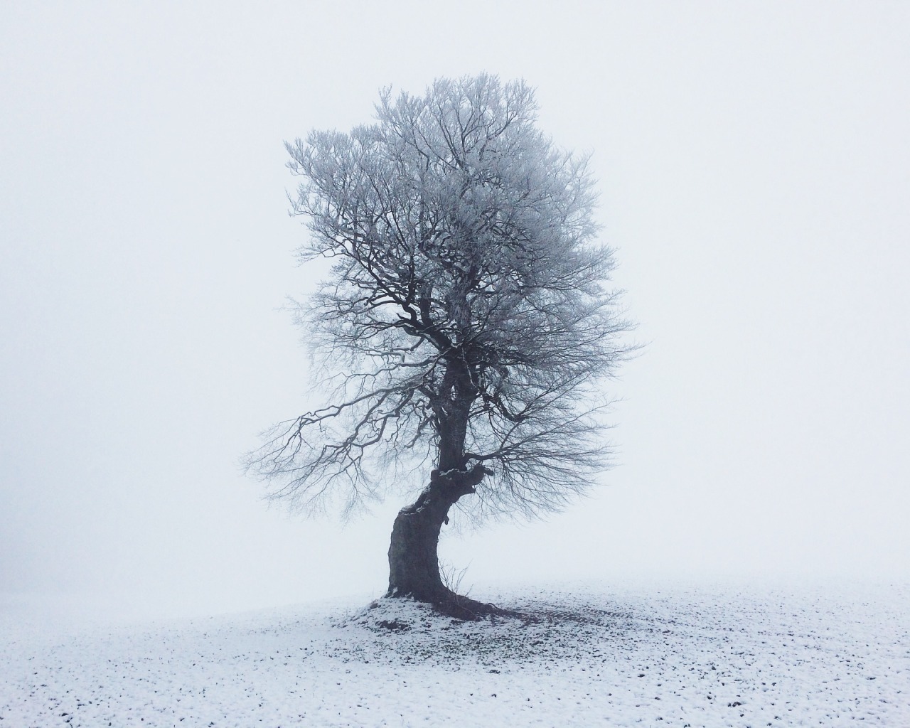 Archillect ID 96189