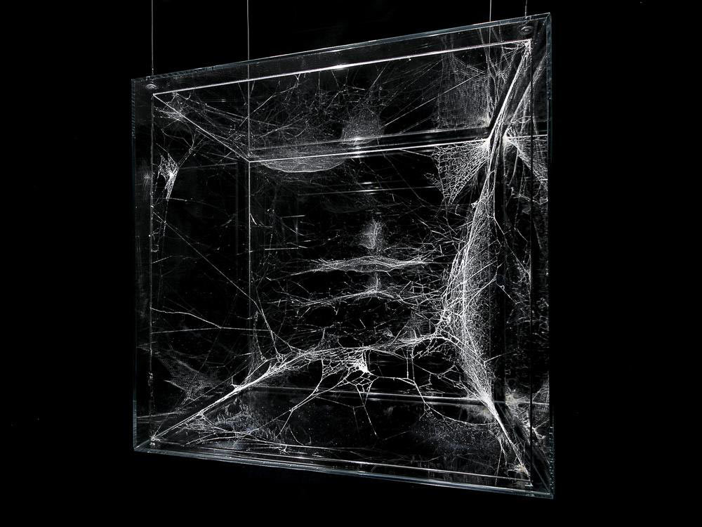 Archillect ID 96323