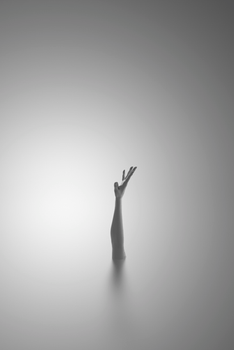 Archillect ID 96385