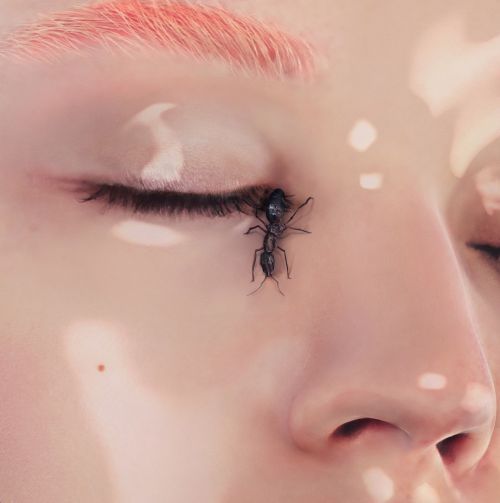 Archillect ID 96513