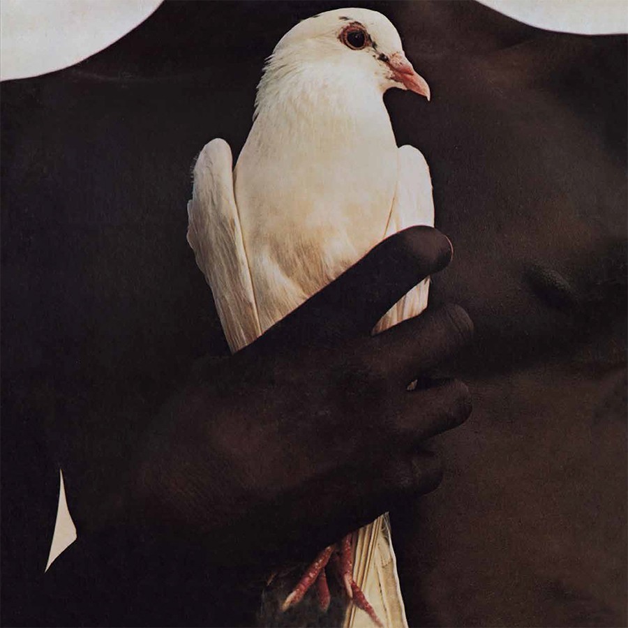Archillect ID 96661
