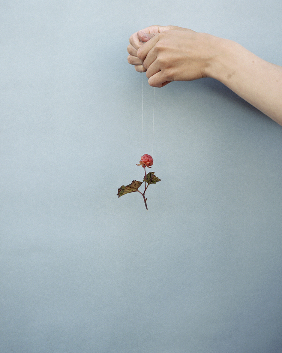 Archillect ID 96979